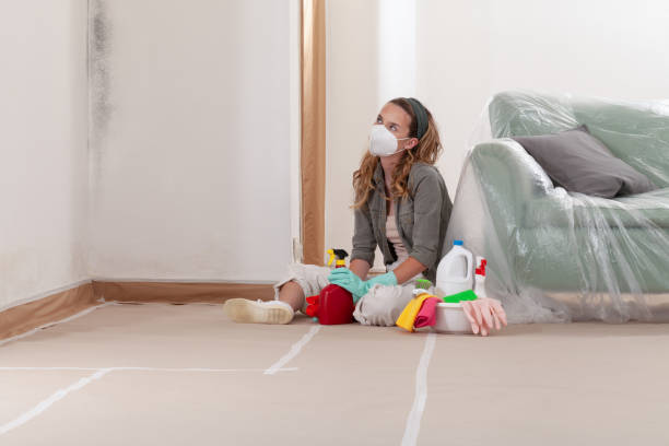 Reliable Black Mold Removal contractor in Ickesburg, PA by WQB Mold Removal
